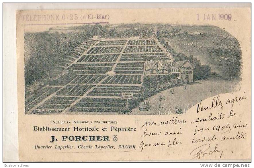 Alger    Ets Horticole Porcher Quartier Leperlier   El Biar        (voir scan)