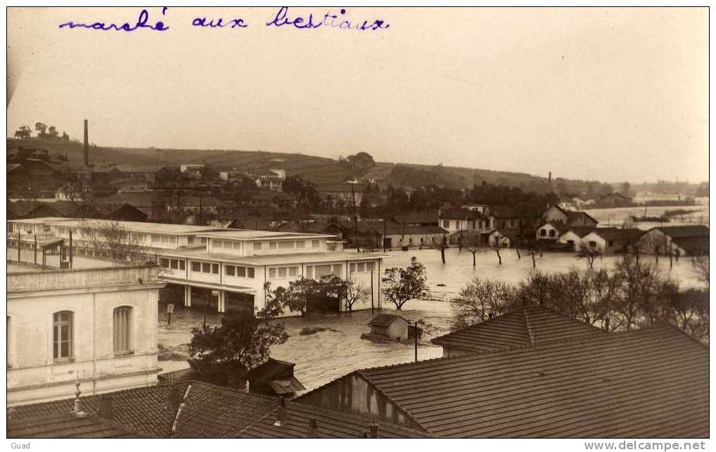 ALGER - MAISON-CARREE - LE MARCHE AUX BESTIAUX - INONDATIONS - SUPERBE CARTE PHOTO