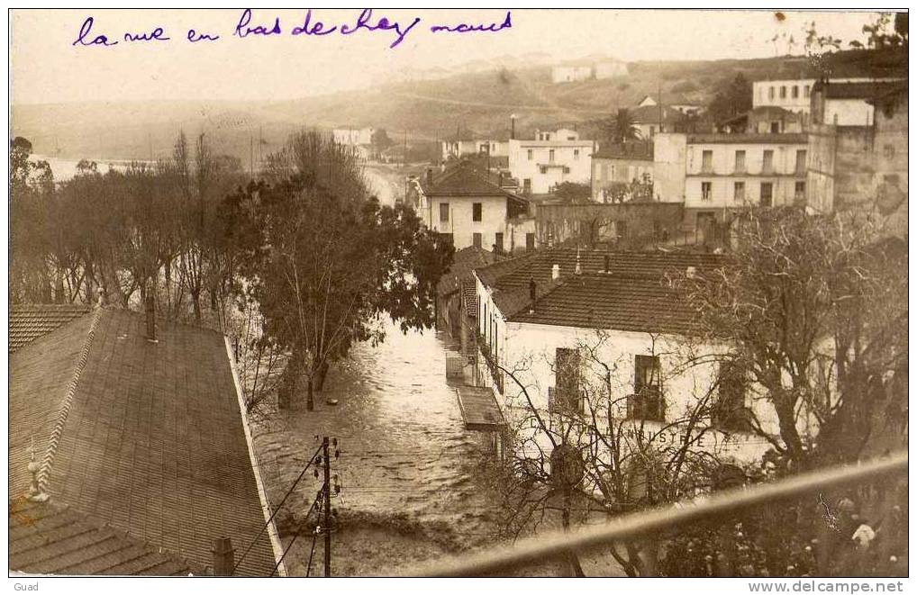 ALGER - MAISON-CARREE - CAFE DE L'INDUSTRIE - SUPERBE CARTE PHOTO