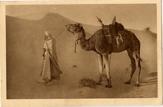 CPSM - ALGERIE - CHAMELIER CHAMBI - (Gros  Plan  Animé) écrite  en 1946