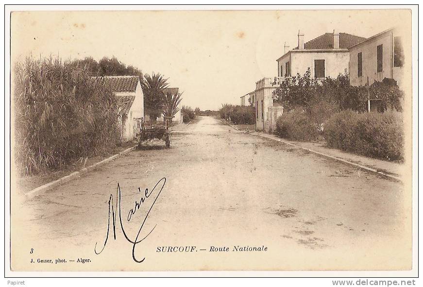 cpa Algerie Surcouf Route Nationale deux semeuse 5 c obliteration ain taya pour kolea colea alger