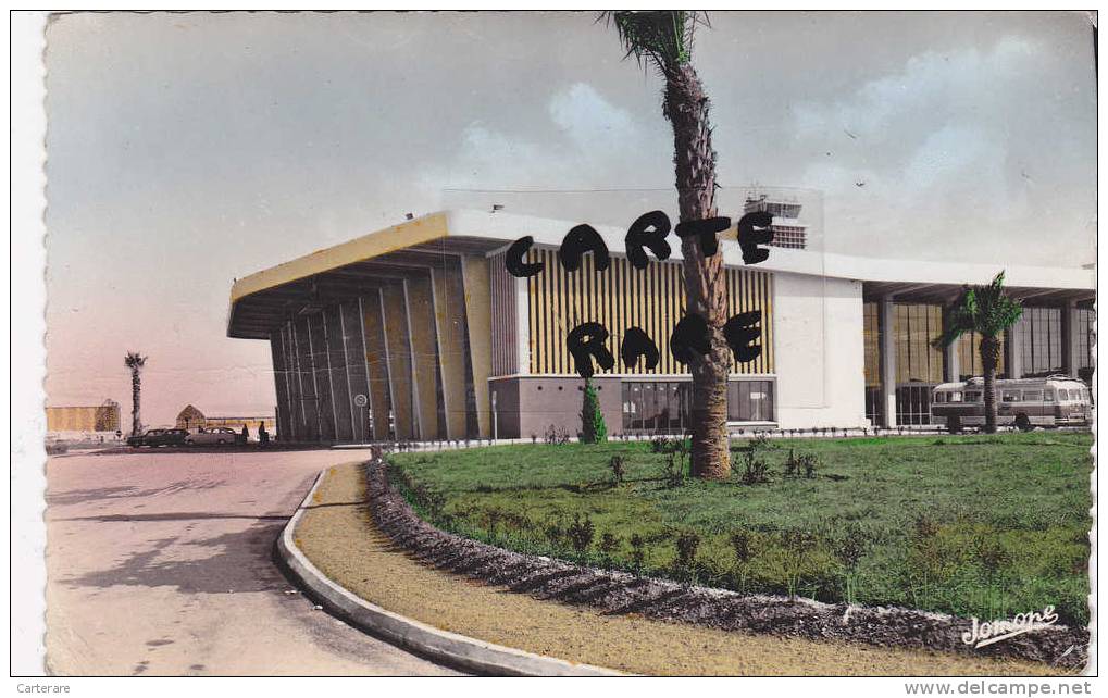 AFRIQUE,AFRICA,ALGERIE,AL GER,route  ,accès aérogare de Maison-Blanche,BUS,rare