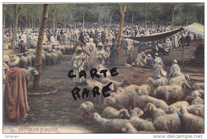 AFRICA,AFRIQUE DU NORD,AFRIKA,ALGERIE FRANCAISE,prés alger,Maison carré,le marché en 1907,ville de garnison TIRAILLEURS