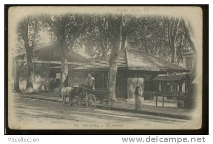 MILIANA le marché