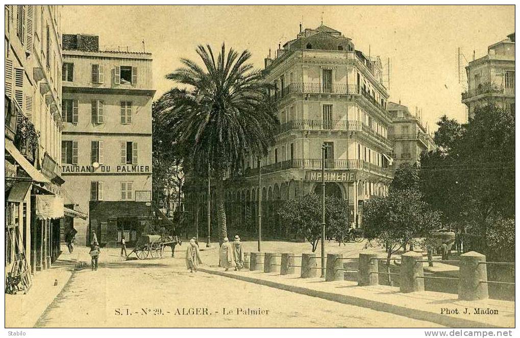 ALGERIE - ALGER - RESTAURANT DU PALMIER