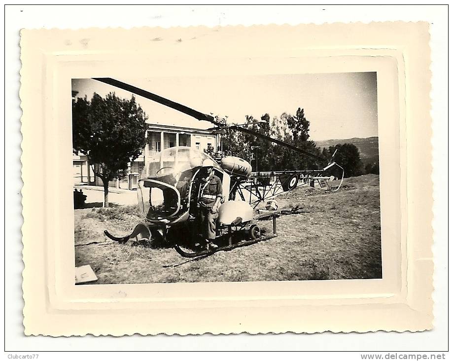 Alger (Algérie) Hélicoptère militaire aux environs (...) env 1950 (animée) PHOTO RARE.