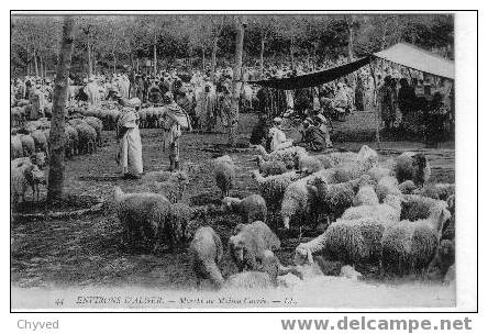 Algérie-Alger-Marché de Maison Carrée