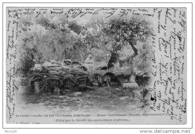 LE RUCHER (arabe) DE SID CHERNOUNE ABDELKADER - DOUAR GUERROUAOU - SOUMA - DEPARTEMENT D´ALGER