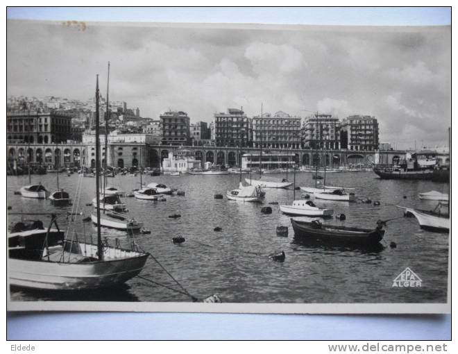 Alger 49 Vue Port  er Jour 9/9/52 XIX Geologorum Conventus Mente et Malleo Armée Afrique