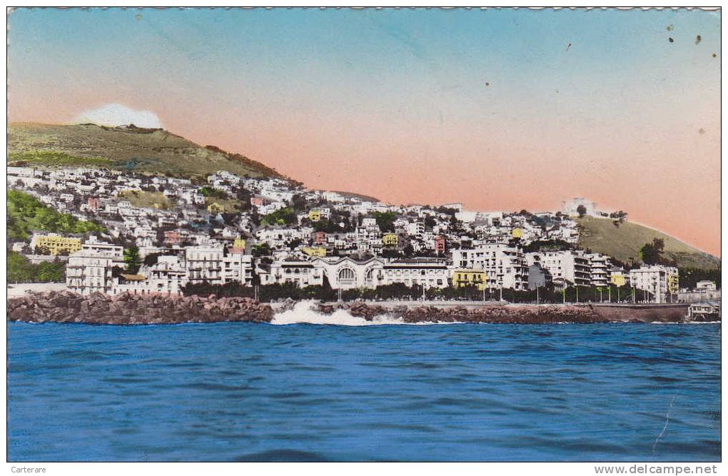 AFRIQUE DU NORD,Algérie,ALGER  6 aout 1948,quartier de la consolation,rare