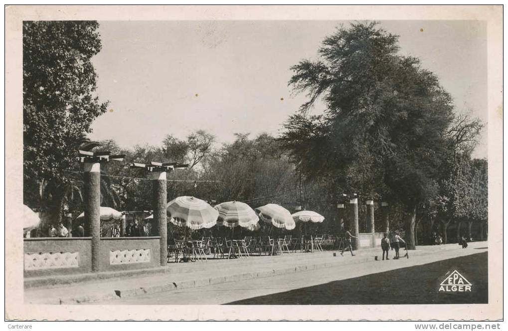 algérie,1952,BISKRA,terra sse  de l´hotel de l´oasis,aux portes du désert sahara,capitale des monts zab,