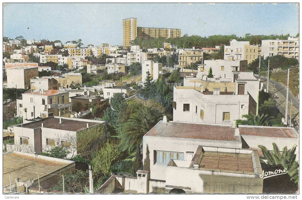 ALGERIE,afrique du nord,EL  DJEZAIR,vue sur la ville,hydra,édition JOMONE,rare