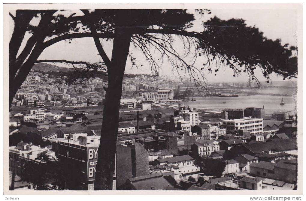 Algérie,ALGER,LE HAMMA,vue sur la ville d´alger,édition la cigogne,rare,afrique,afri ca