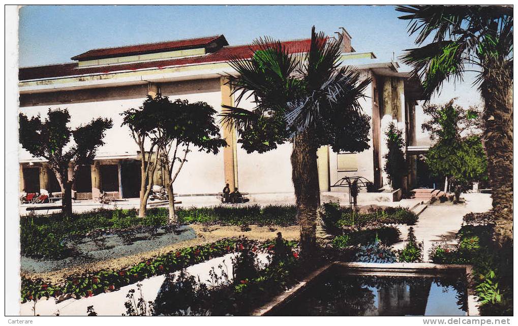 AFRIQUE,ALGERIE,africa,al geria,ALGER,AUMALE,salle des Fetes,banc public,rare