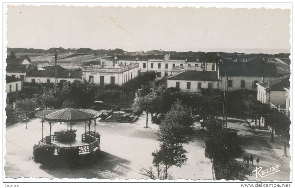 Afrique du nord,Algérie,Zéralda,wila ya d´alger,commune à vocation agricole,la place et le kiosque,HOTEL DE LUXE,rare