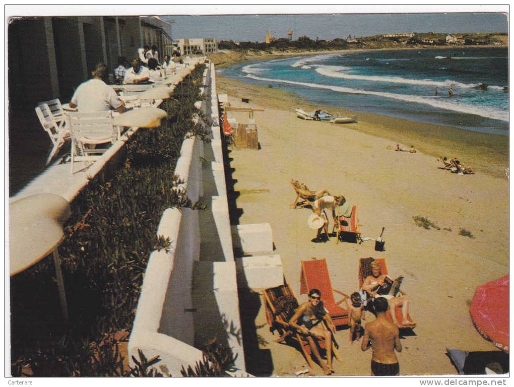 AFRIQUE,ALGERIE,alger,pla ce  MORETTI,vue sur la plage,touristes heureux,restaurant,rare