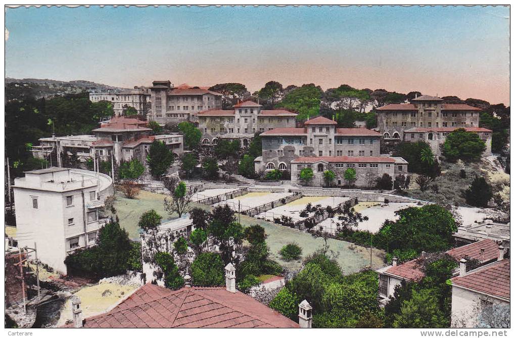 Afrique,AFRICA,AFRIKA,Alg érie,ALGER EN 1953 ,lycée de jeunes filles  Fromentin,rare