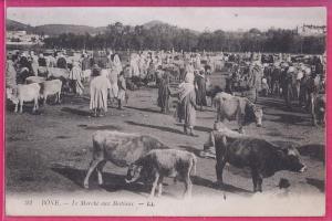 ALGERIE  376    BÔNE   Le Marché aux Bestiaux