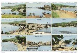 Bone Multi vues 9 differentes vues  Plages , Patelle  No 855