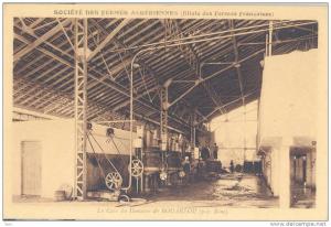 la cave du domaine de bouaerou près bone société des fermes algériennes