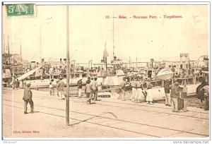 ALGERIEBONE NOUVEAU PORT TORPILLEURS  N°55