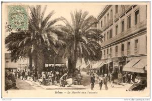 ALGERIEBONE LE MARCHE AUX POISSONS