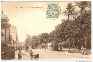 ALGERIEBONE LE COURS JEROME BERTAGNA N°43