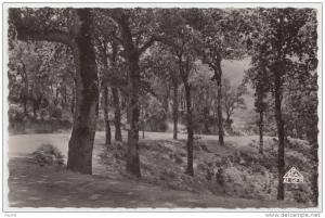 cpa Env Bone Annaba Bugeaud Route de L'Edough Foret de chêne liege Collection reservée Hotel Beauséjour