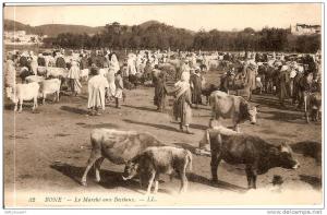 ALGERIE BONE LE MARCHE AUX BESTIAUX N°32