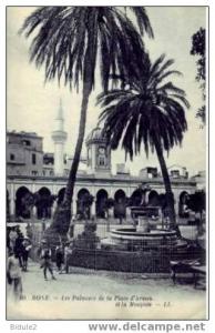 Bone   Les Palmiers de la Place d'Armes