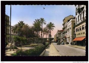 ALGERIE - BONE - LES JARDINS DU COURS BERTAGNA