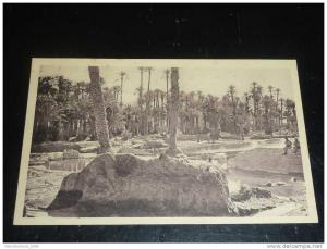 COLOMB BECHAR - AU BORD DE L'OUED - AFRIQUE ALGERIE