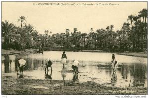 CPA Algérie - Colomb-Béchar - La Palmeraie - Le Trou du Chameau (PS N°8)