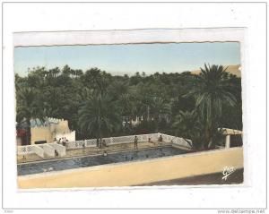 COLOMB-BECHAR_222_La piscine et la Palmeraie