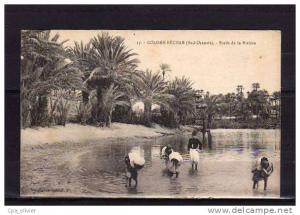 ALGERIE Colomb Béchar Bords de la rivière, animée, ed Idéale PS 17, Sud Oranais, 1918
