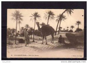 ALGERIE Colomb Béchar Dunes de Sable, animée, ed Geiser 66, 191?