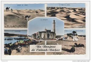 colomb béchar un bonjour