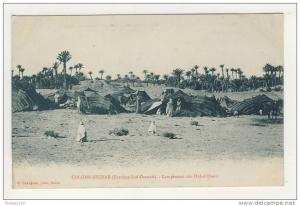 ALGERIE colomb béchar campement des oulad djerir   ( recto verso )