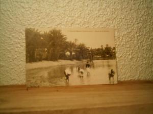 CP ALGERIE COLOMB BECHARD BORDS DE LA RIVIERE