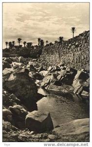 COLOMB-BECHAR - L'oued