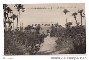 CPA ALGERIE - Colomb Bechar - Cercle militaire vu de la palmeraie