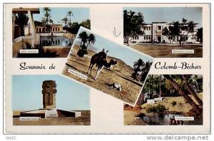 Algérie - M180 - Colomb Béchar -  (Sud Oranais)  -  état  - semi moderne petit format