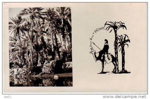 Algérie - M181 - Colomb Béchar -  (Sud Oranais)  -  état  - semi moderne petit format