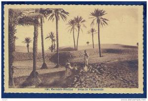 CPA   ALGERIE  Colomb Béchar  Dans la Palmeraie   enfants   Collectn Idéale