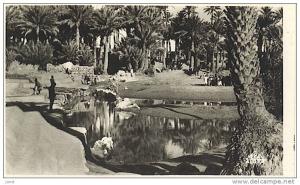 - ALGERIE - COLOMB-BECHAR - L'OUED ET LE BARRAGE -