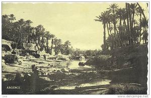 - ALGERIE - COLOMB BECHAR - LA PALMERAIE -