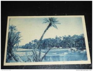 COLOMB BECHAR - AU BORD DE L'OUED - AFRIQUE ALGERIE