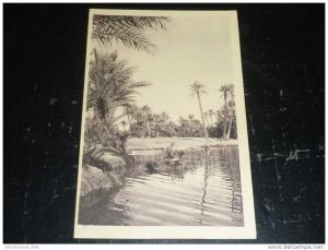 COLOMB BECHAR - LA RIVIERE - TER - AFRIQUE ALGERIE