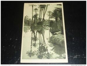 COLOMB BECHAR - LA RIVIERE - AFRIQUE ALGERIE