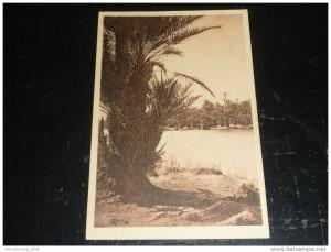 COLOMB BECHAR - LA RIVIERE - TER - AFRIQUE ALGERIE